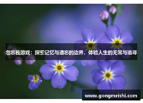 勿忘我游戏：探索记忆与遗忘的边界，体验人生的无常与追寻
