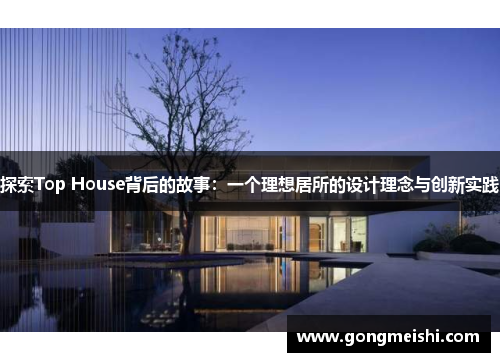 探索Top House背后的故事：一个理想居所的设计理念与创新实践